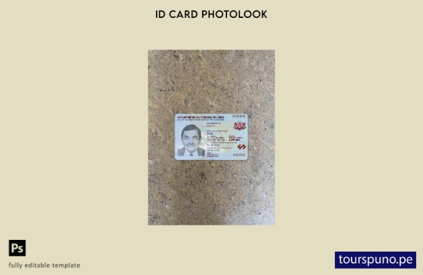 listo para imprimir plantilla FRONTAL de aspecto fotográfico de identificación 8